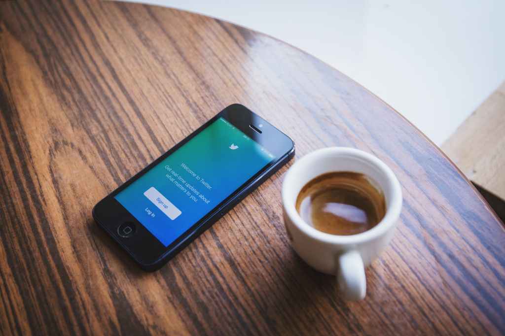 Becoming a Twitterstorian: Social Media, Scholarly Communication, and Professional&nbsp;Practice