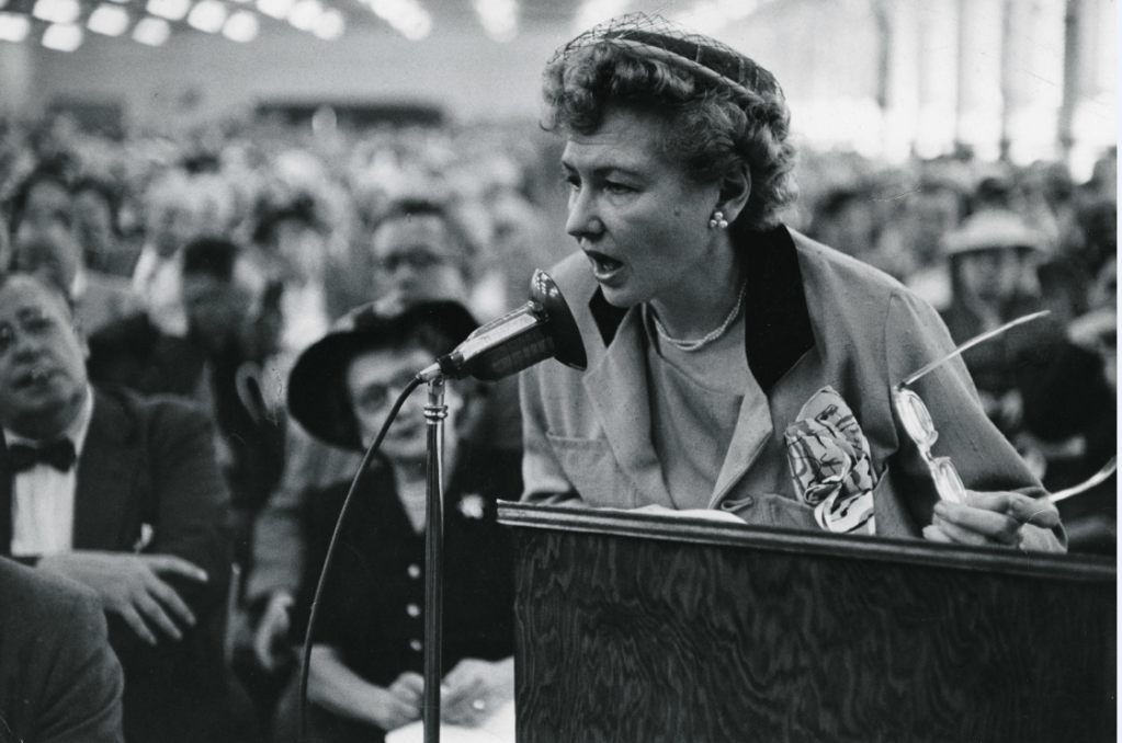 “Stockholders Have Civil Rights,&nbsp;Too”